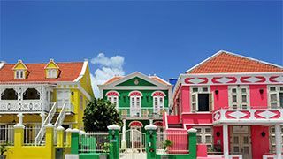 Latin & Caribbean Carnival virtual background